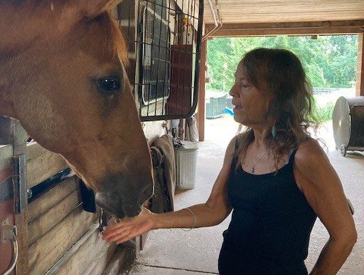 Donna Sue Rosenthal in a barn, a chestnut horse reaching toward her hand