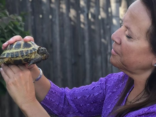 Donna Sue Rosenthal holding a tortoise up at eye level