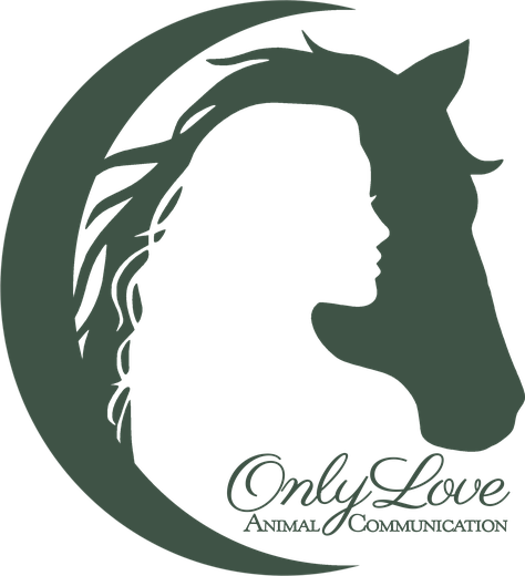 Only Love Animal Communication