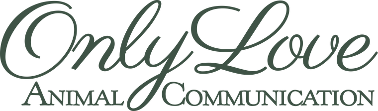 Only Love Animal Communication